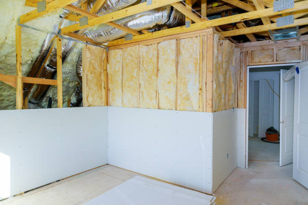 Best Insulation Maintenance and Repair in Meridian Village, CO