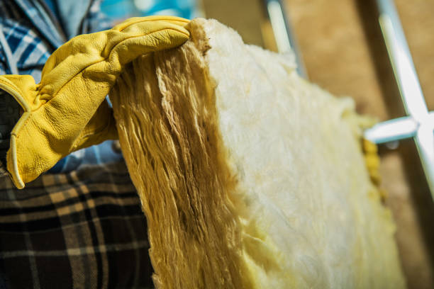 Best Types of Insulation in Meridian Village, CO